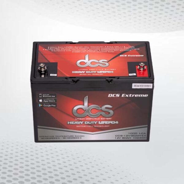 Lithium golf cart batteries